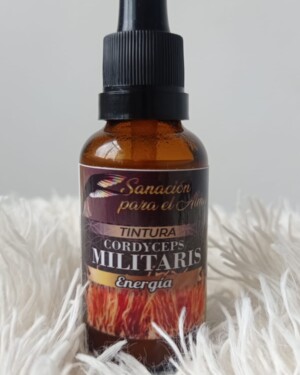 Hongo Cordyceps Militaris