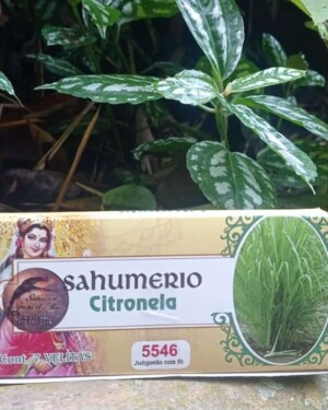 Sahumerio Citronela
