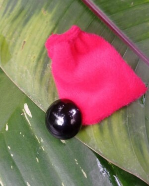 Ombliguera de Obsidiana