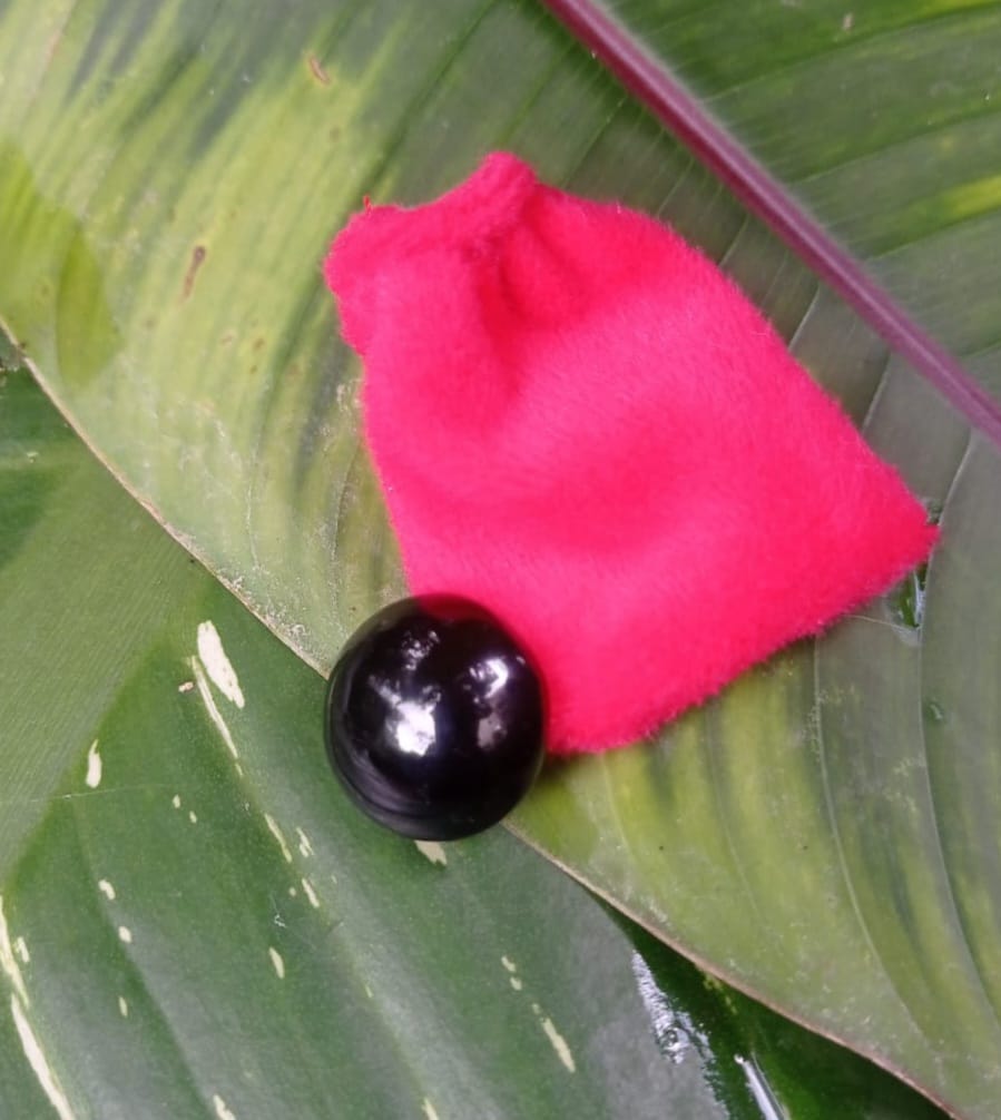 Ombliguera de Obsidiana