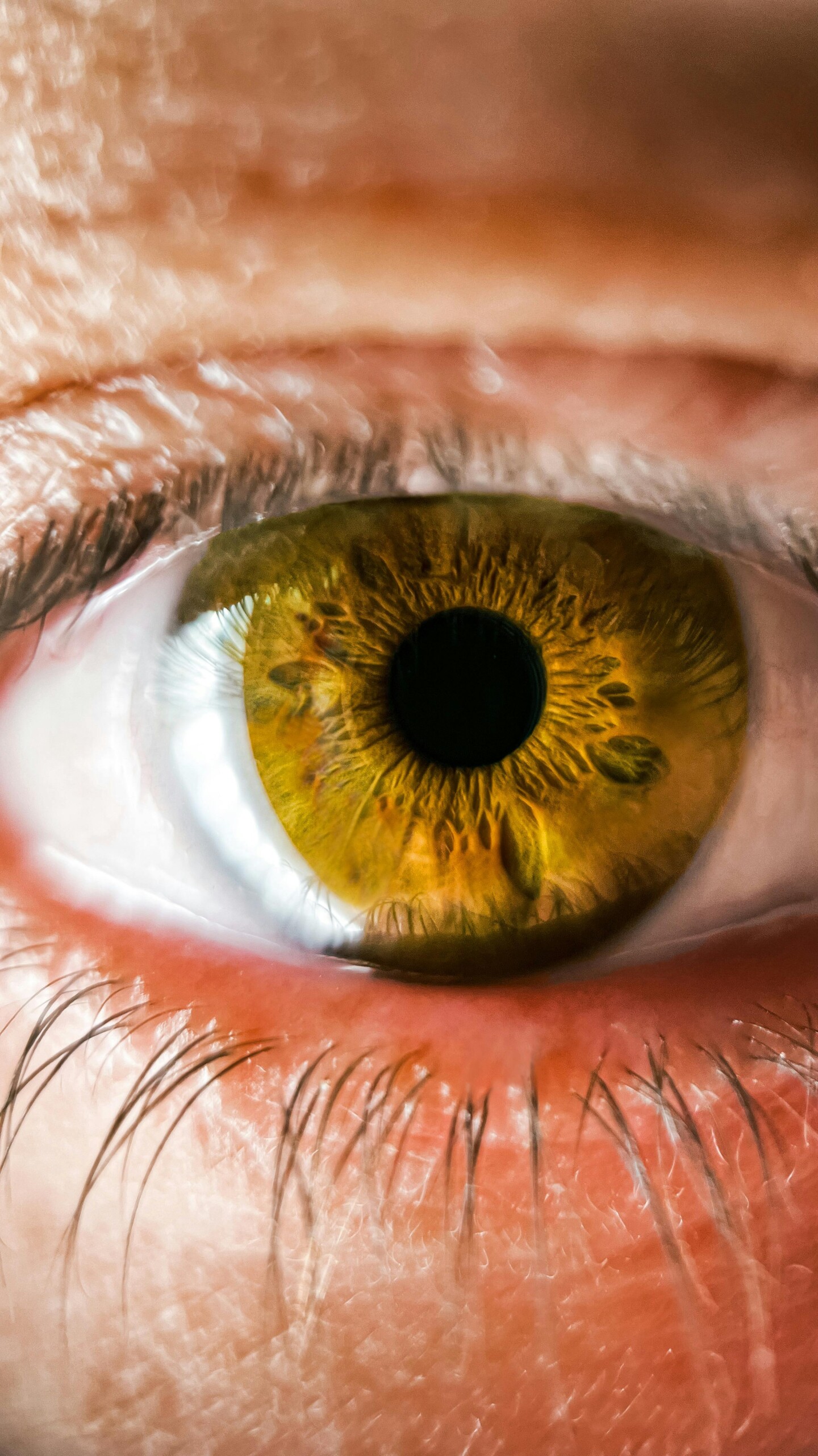Terapia EMDR: Sanar el Pasado para Liberar tu Presente